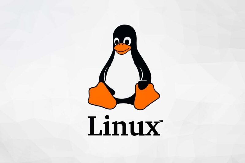 Linux – Crear un grup amb permissos i afegir usuaris